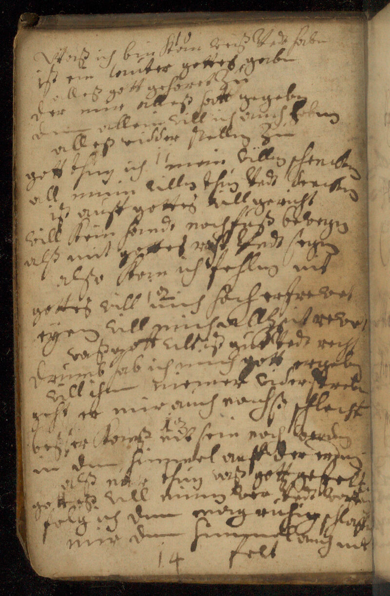 No text description is available for this image