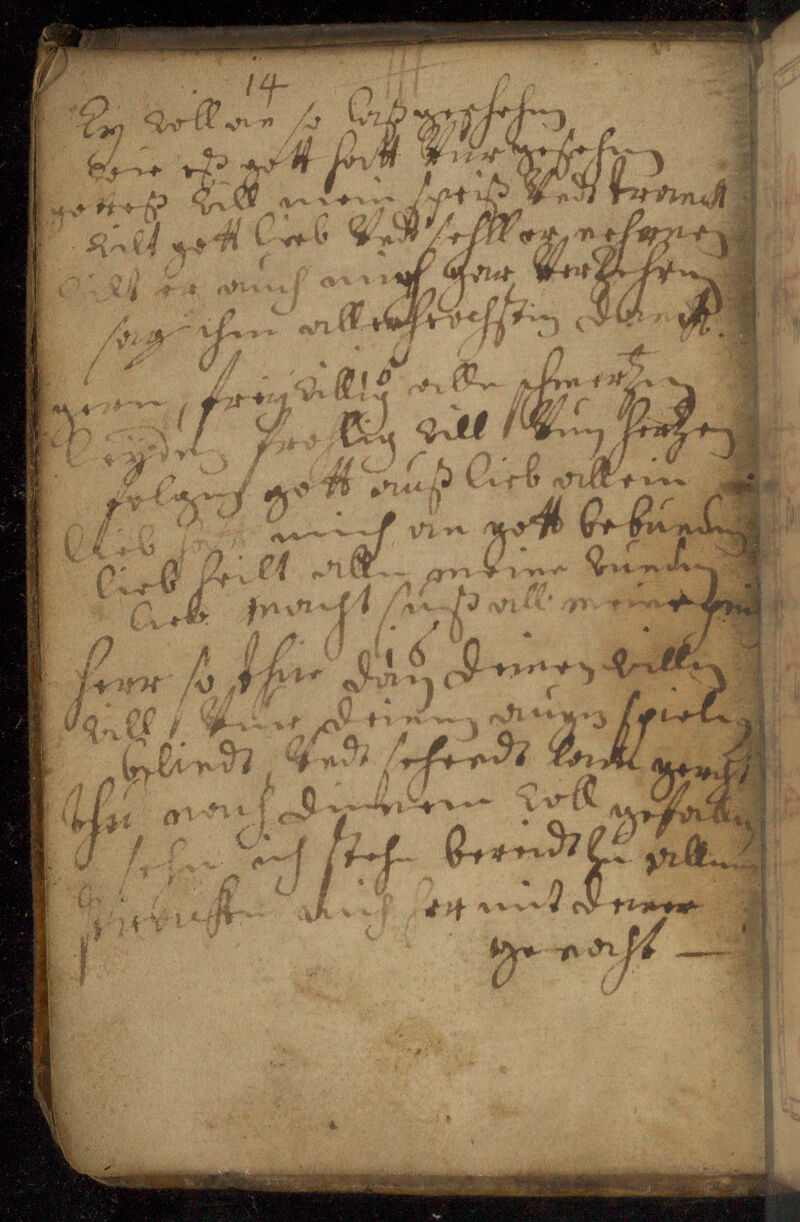 No text description is available for this image