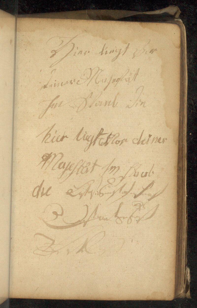 No text description is available for this image