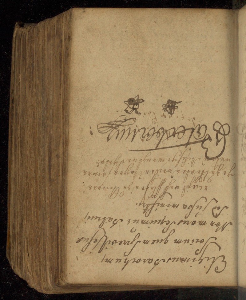 No text description is available for this image