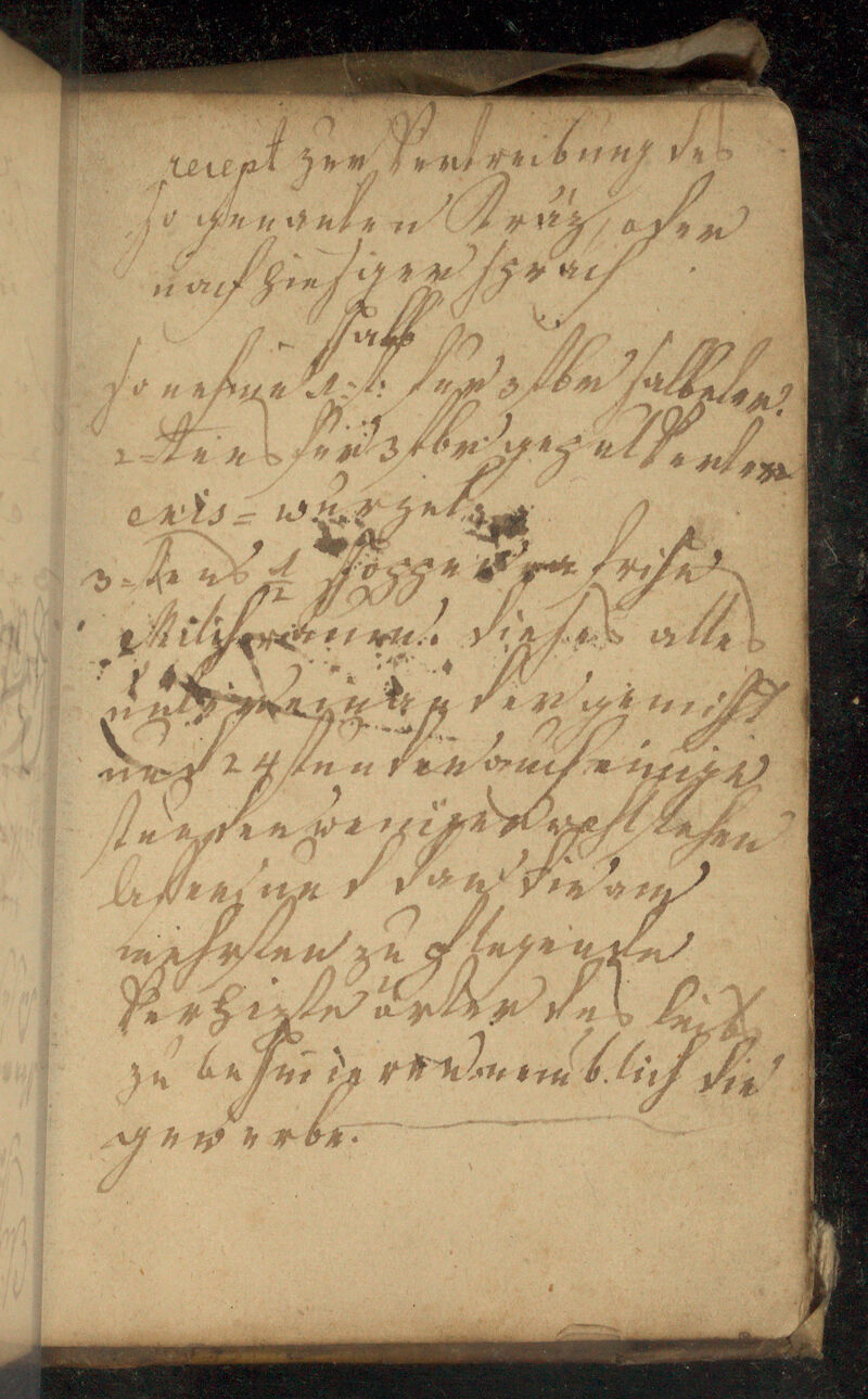 No text description is available for this image