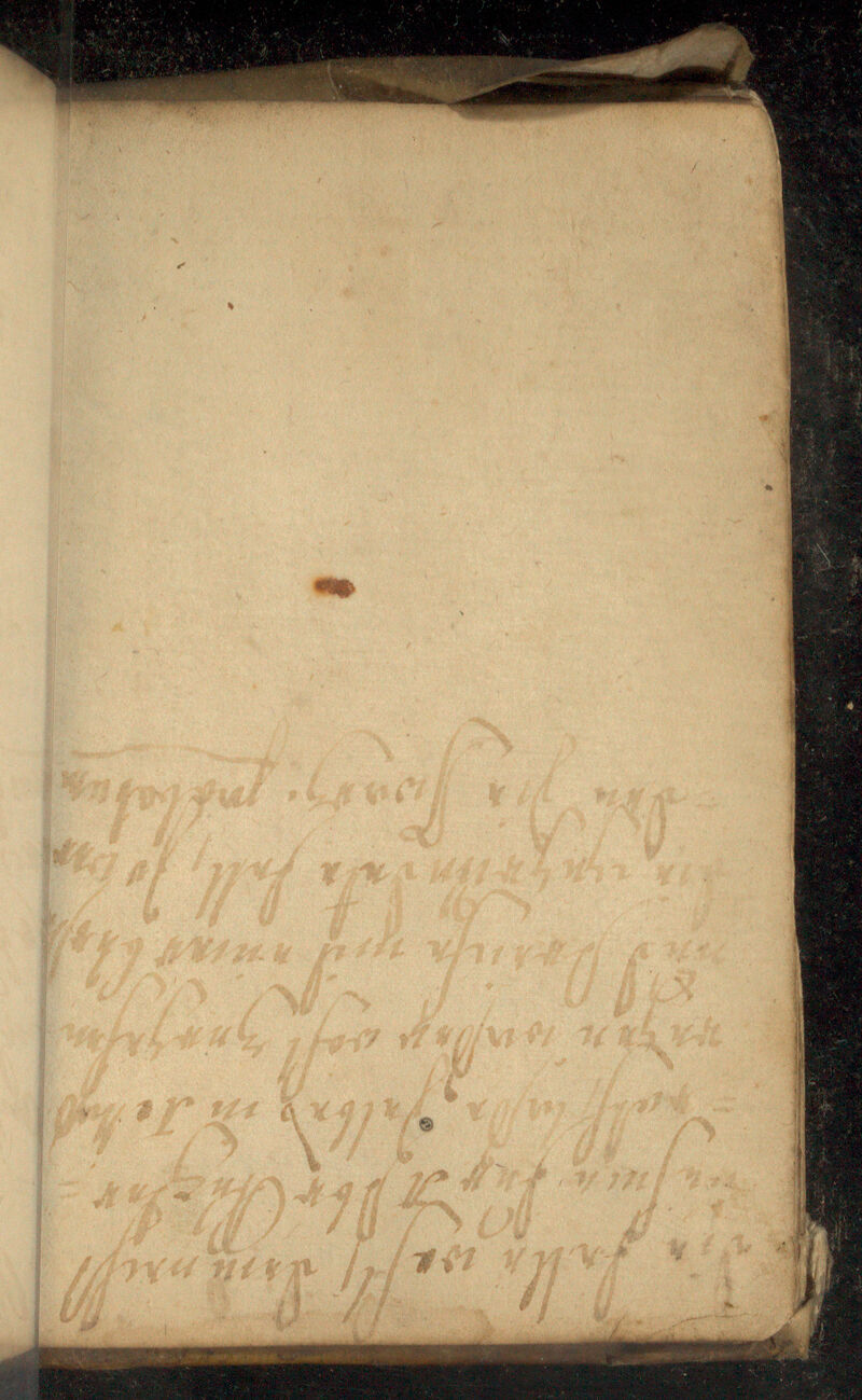 No text description is available for this image