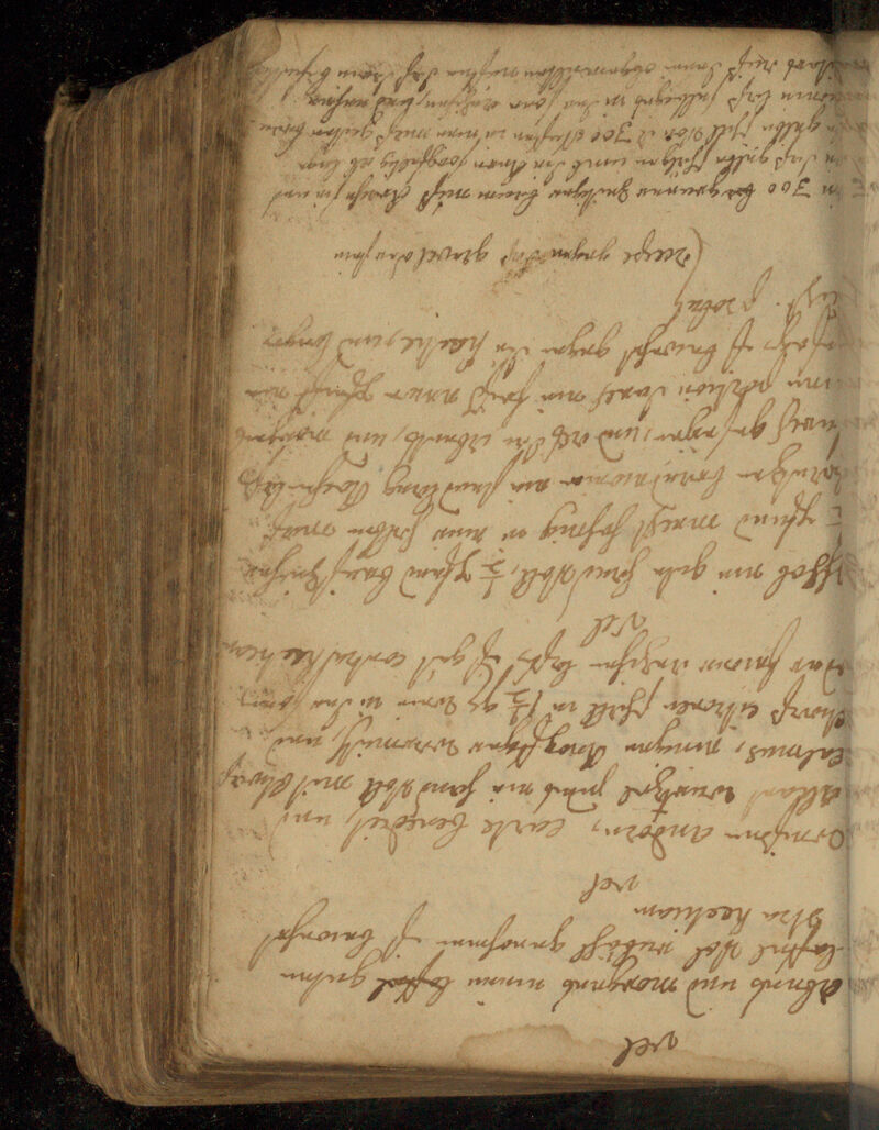 No text description is available for this image