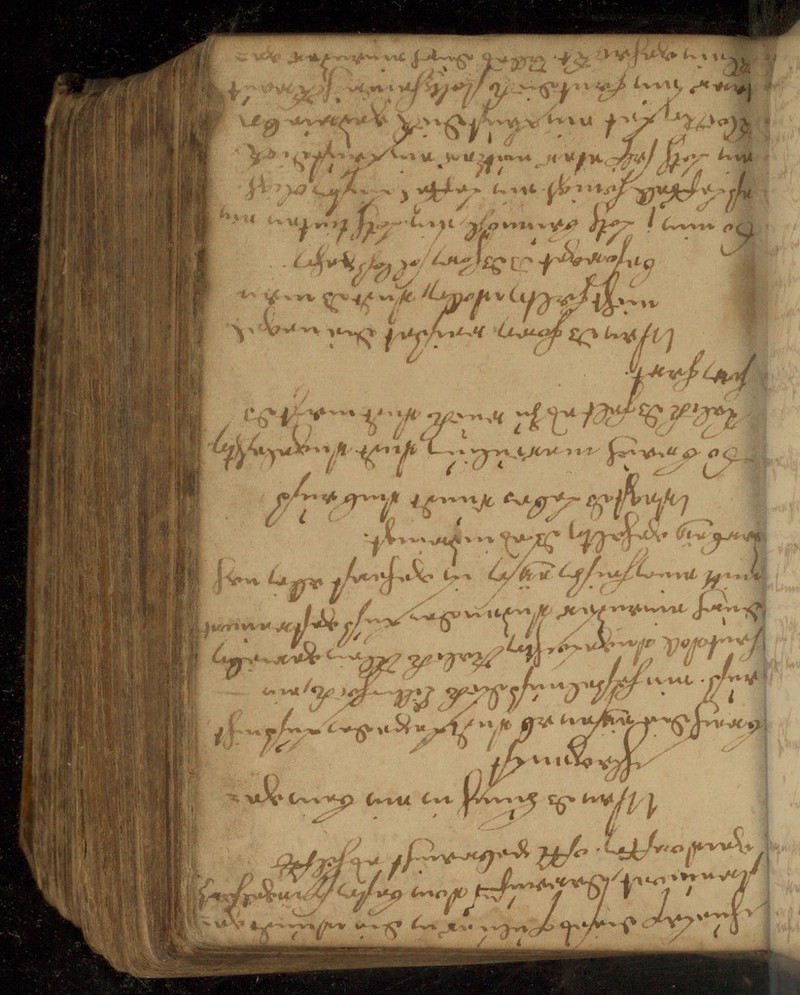 No text description is available for this image