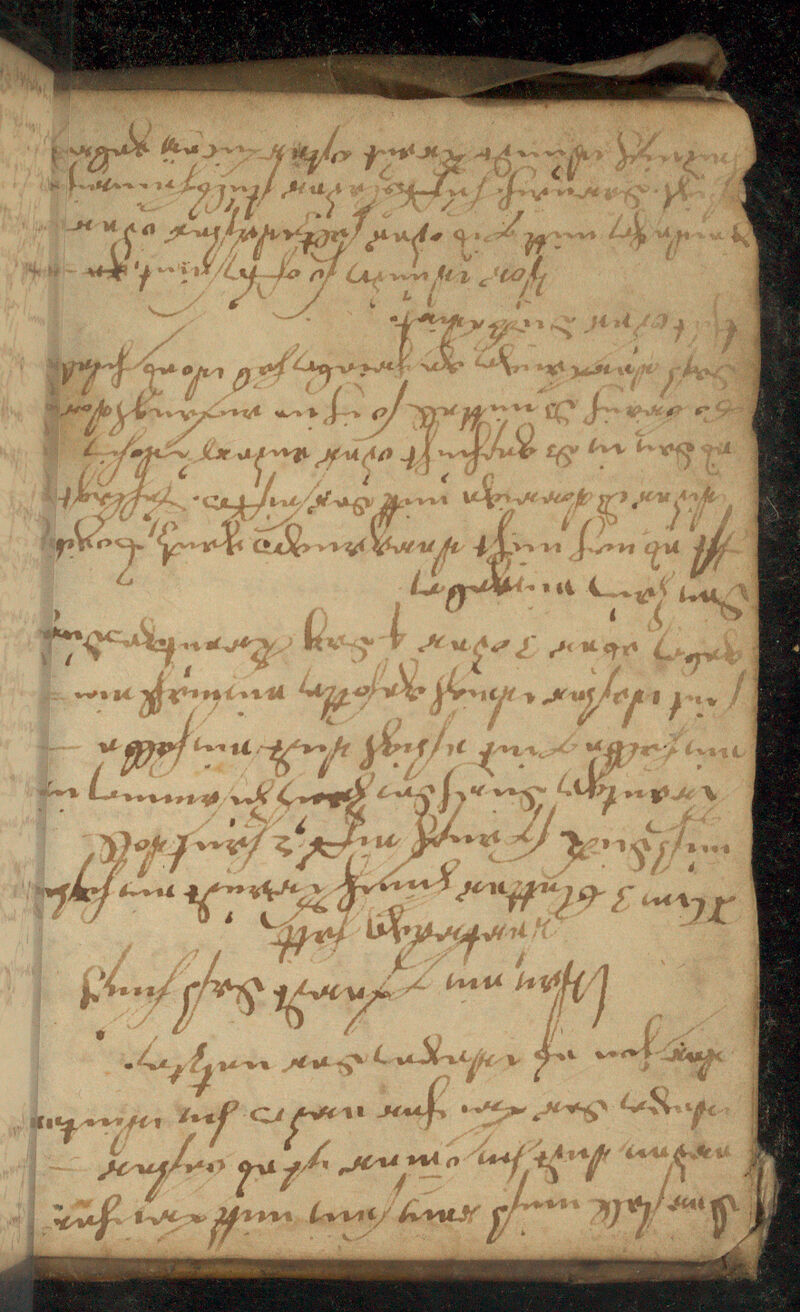 No text description is available for this image