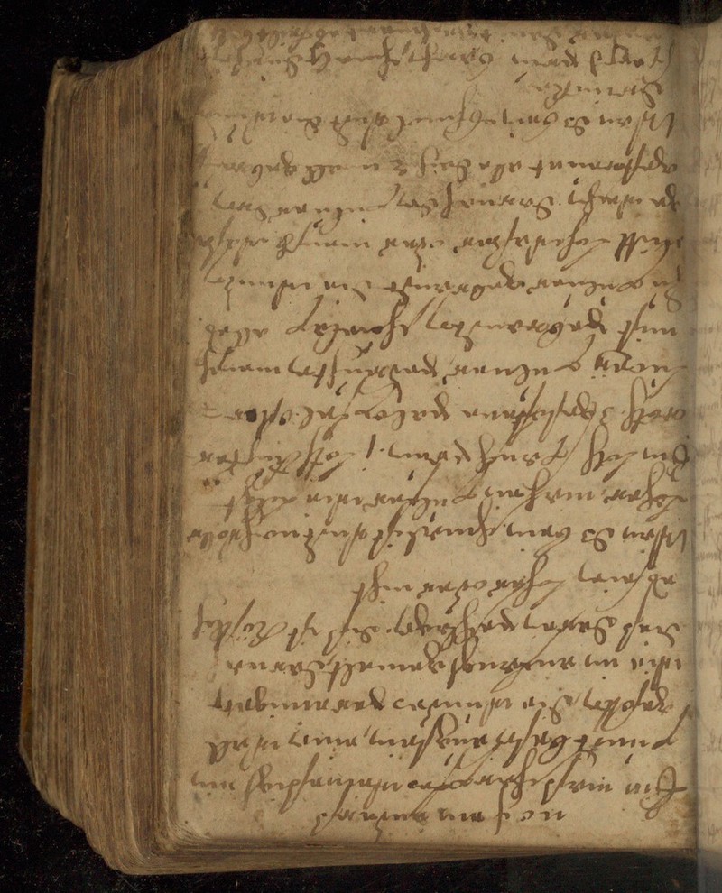 No text description is available for this image