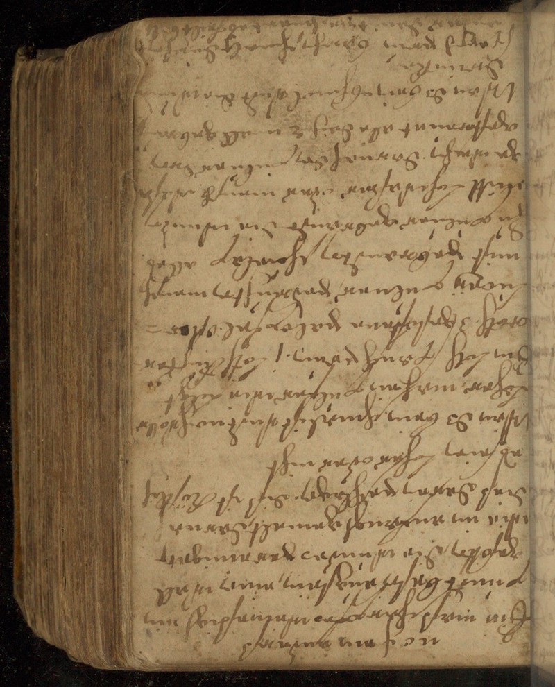 No text description is available for this image