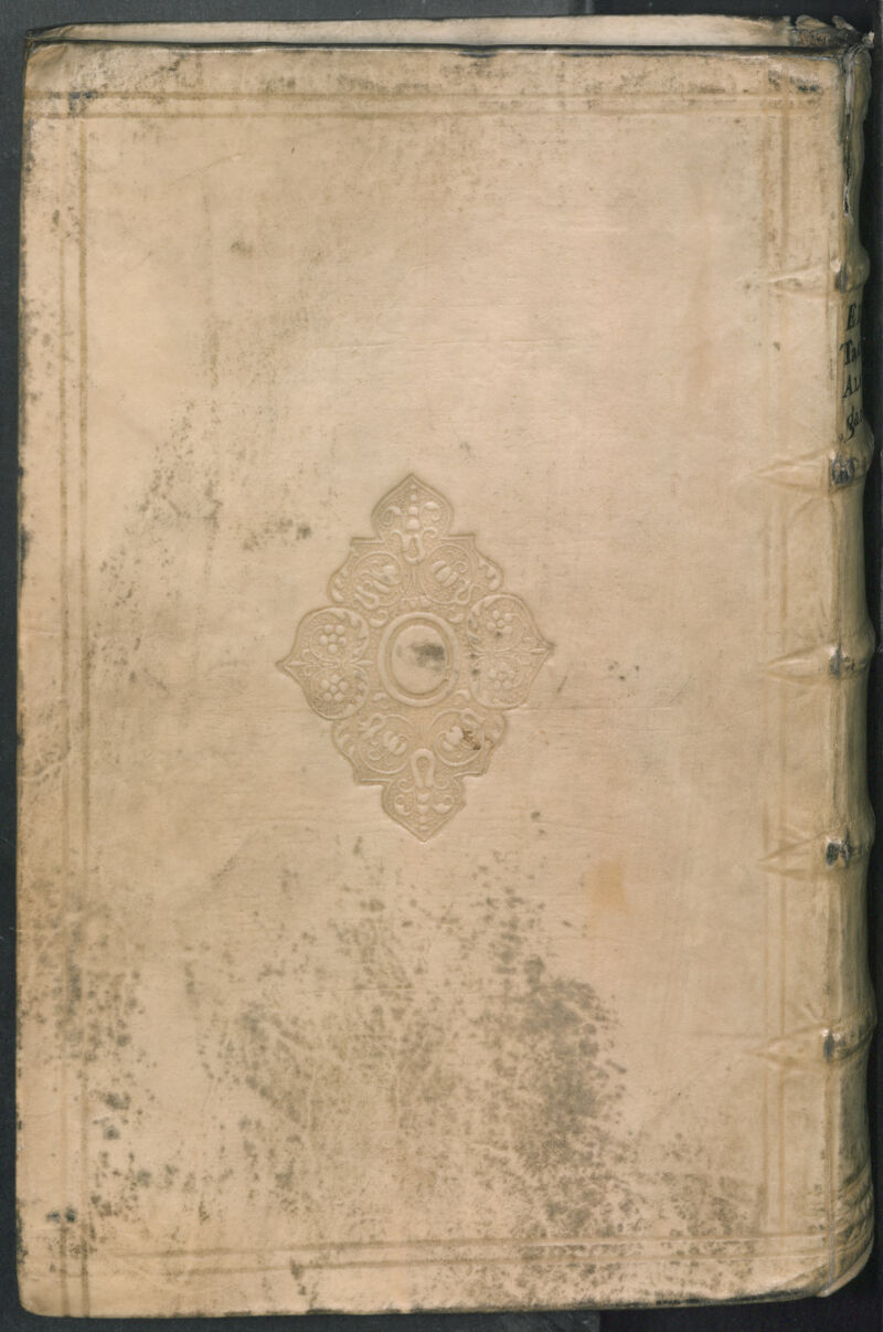 No text description is available for this image