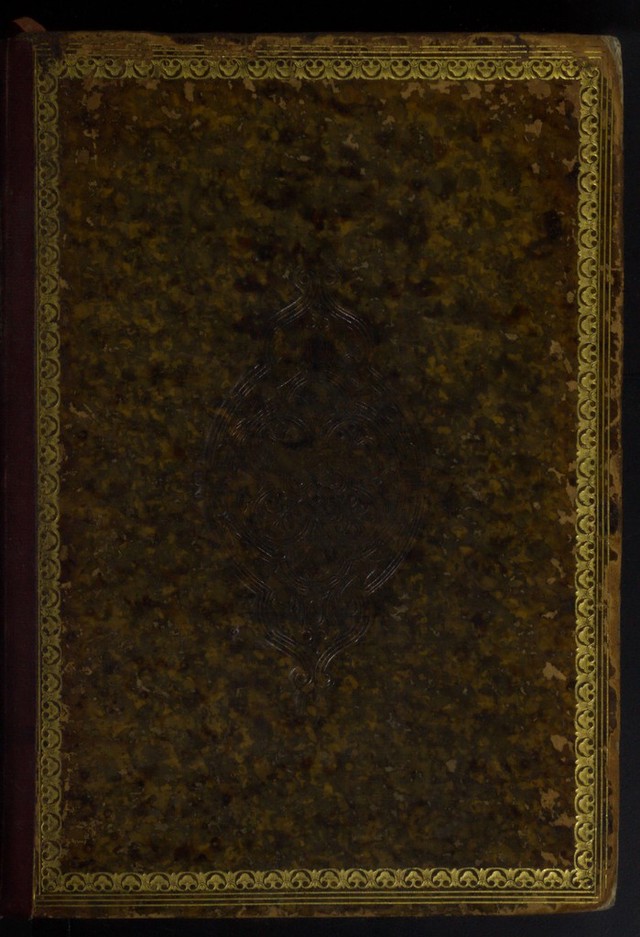 No text description is available for this image