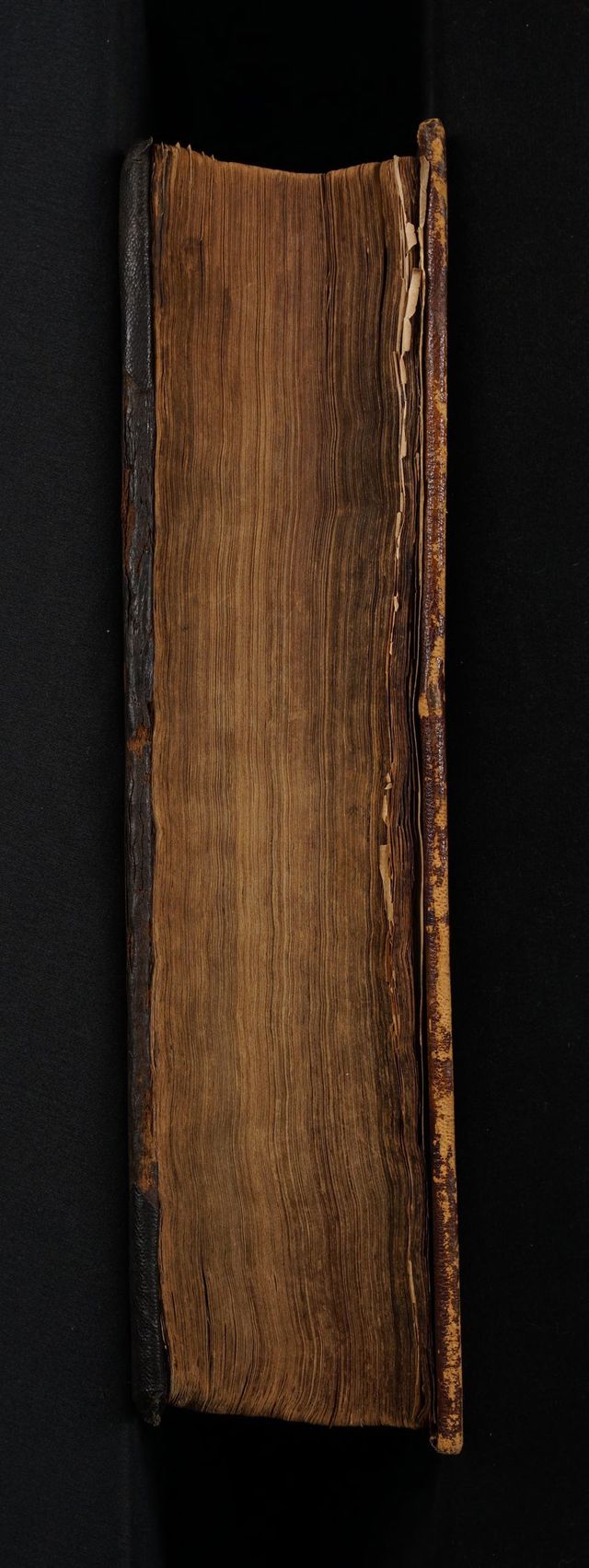 digitised image 3