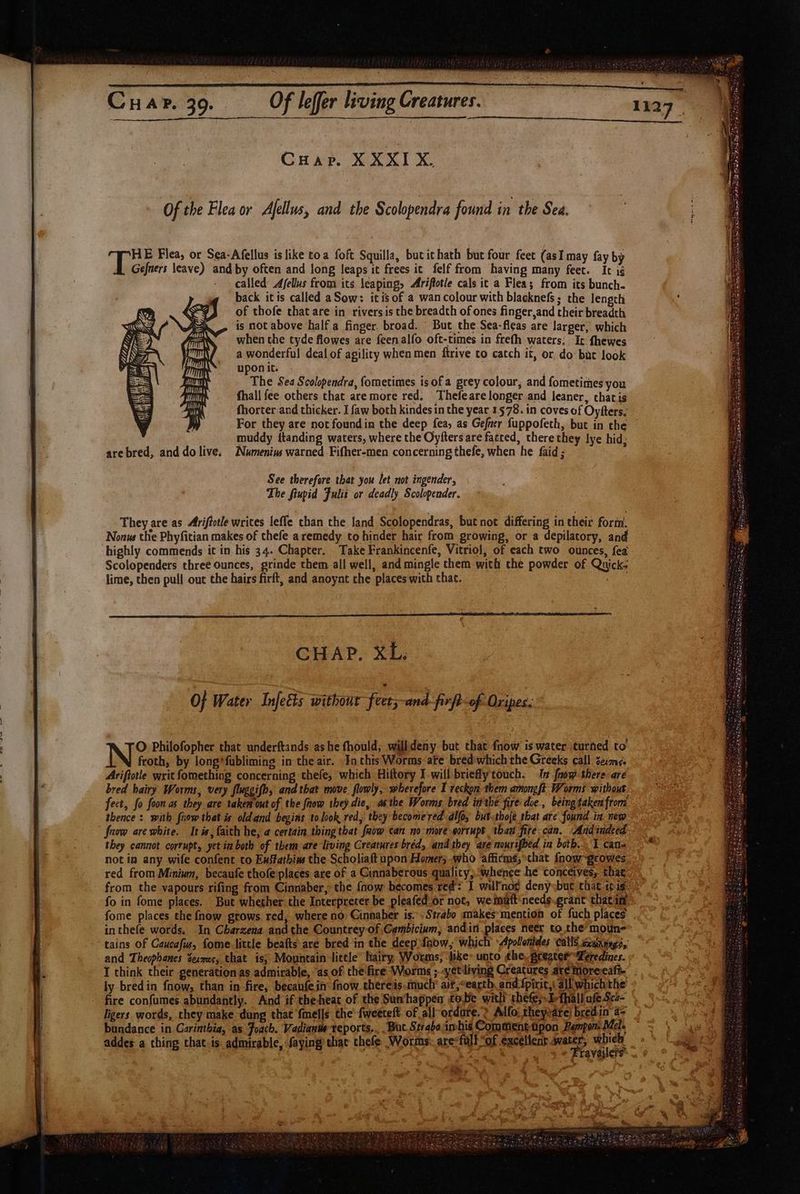 Cnr. XXXI X. Of the Flea or Afellus, and the Scolopendra found in the Sea. Sra XU dom Un ae Eae, HE Flea, or Sea-Afellus islike toa foft Squilla, but it hath but four feet (asI may fay by Gefners leave) and by often and long leaps it frees it felf from having many feet. It ig called’ Afellus from its leaping, Ariftotle cals it a Flea; from its bunch. back itis called aSow: itis of a wancolour with blacknefs; the length ; of thofe that are in riversis the breadth of ones finger,and their breadth is not above half a finger. broad. ' But the Sea-fleas are larger, which when the tyde flowes are feenalfo oft-times in frefh waters; It fhewes a wonderful deal of agility when men ftrive to catch it, or do but look uponit. . The Sea Scolopendra, íometimes is of a grey colour; and fometimes you fhall fee others that are more red. Thefeare longer and leaner, chat is fhorter and thicker. 1 faw both kindes in the year 1578. in coves of Oyfters. For they are not found in the deep fea, as Gefner fuppofeth, but in the muddy ttanding waters, where the Oyfters are fatted, there they lye hid, arebred, and dolive, Numenius warned Fifher-men concerning thefe, when he faid ; : See therefore that you let not ingender, The fiupid Julii or deadly Scolopender. They are as Ariftotle writes leffe than the land Scolopendras, but not differing in their form. Nonus the Phyfitian makes of thefe a remedy to hinder hair from growing, or a depilatory, and highly commends it in his 34. Chapter. Take Frankincenfe, Vitriol, of each two ounces, fea Scolopenders three ounces, grinde them all well, and mingle them with the powder of Quick: | lime, then pull out the hairs firft, and anoynt the places with that. CHAP. XL. of Water Infeéts without feet; and fife Oripes. NS Philofopher that underftands as he fhould, willdeny but that fnow is water turned to froth, by long*fubliming in the air. Ta chis Worms ate bred which the Greeks call seme. Ariftotle writ fomething concerning thefe, which Hiftory I will briefly touch. I fnow there. are : bred hairy Worms, very fluggifh, and that move flowly, wherefore I reckon them amongft. Worms without fect, fo foon as they are taken out of the fnow they die, asthe Worms. bred in the fire doe., being taken from thence: with fnow that is old and begins to look red; they becomered dlfo, but-tboje that arc. found in new fuv are white. It is, faith he, a certain thing that fuow can no more eorrupt ‘than fire can. Andindeed | they cannot corrupt, yet in both of them are living Creatures bred, and they are nourifbed in both... I can- not in any wife confent to Exstathins the Scholiaft upon Homer; who ‘affirms; chat fnowgrowes red from Minium, becaufe chofe places are of a Cinnaberous quality, whence he conceives, thar from the vapours rifing from Cinnaber, the {now becomes red: I will'not deny:but that it is fo in fome places. But whether the Interprerer be pleafed or not, weinaft‘needs.grant thatin fome places the ínow grows red, where no Cinnaber is. - Strabo makes mention of fuch places inthefe words, In Cbarzema and the Countrey- of Cambicium, andin places neer to the^moun- tains of Caucafus, fome little beafts are bred in the deep faow, which Apollonides Calls ccannngs,: and Theophanes Zeauc, that is; Mountain little hairy Worms, like: unto the, greater Zeredines. I think their generation as admirable, as of the fire Worms ; yet living Creatures are moreeafi- | ly bredin fnow, than in fire, becaufein: fnow thereis-muclr ait, earth. and .fpirit, all whichthe d - fire confumes abundantly. And if theheat of the Sun' happen £o Be witli thefe;- I-fhallufeSca- | ligers words, they make dung that fmel|s the fweeteft. of all-ordute.? Alfo: theyodfe) bred in a n bundance in Carinthia, as Foach. Vadianüs Teports... But Strabo ip. hi$ Comment. üpon Pemponi Mel. ; ravajle ,