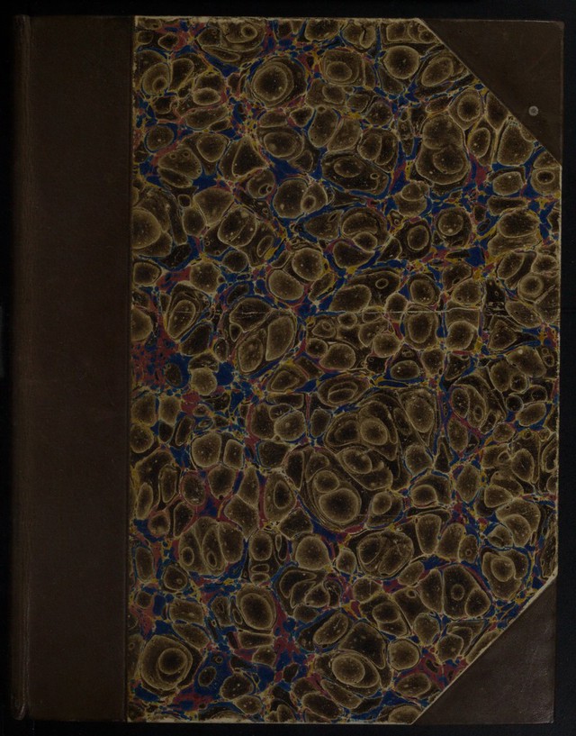 No text description is available for this image