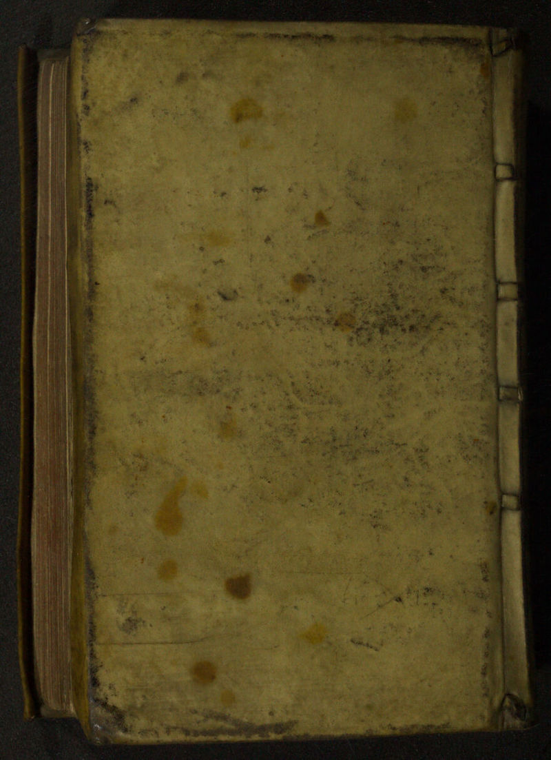 No text description is available for this image