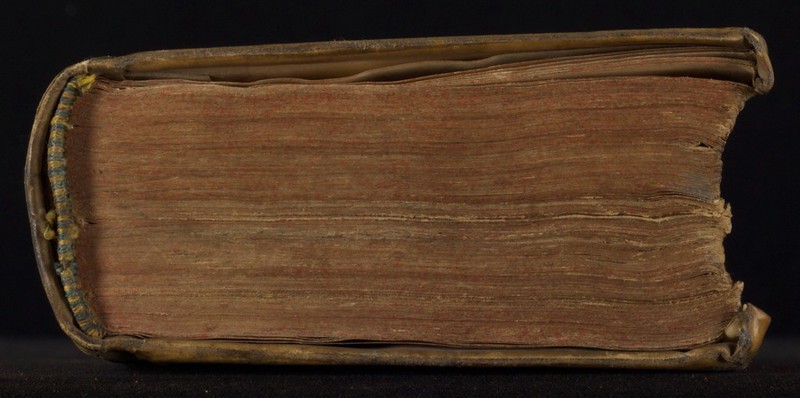 No text description is available for this image