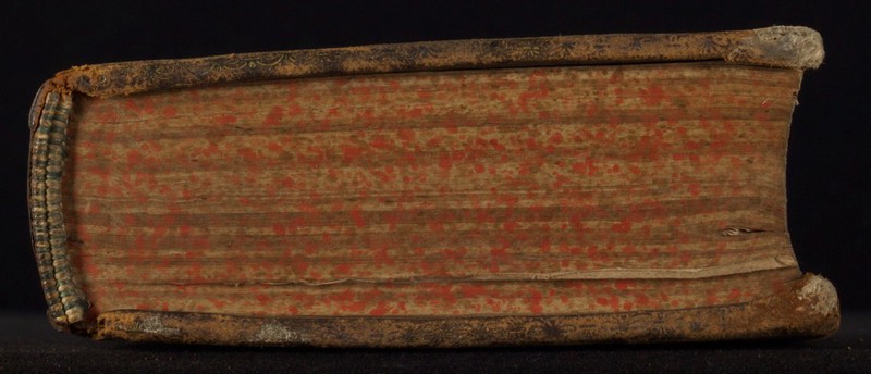 No text description is available for this image