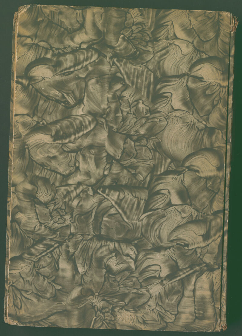 No text description is available for this image