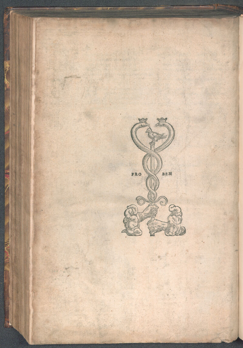 No text description is available for this image