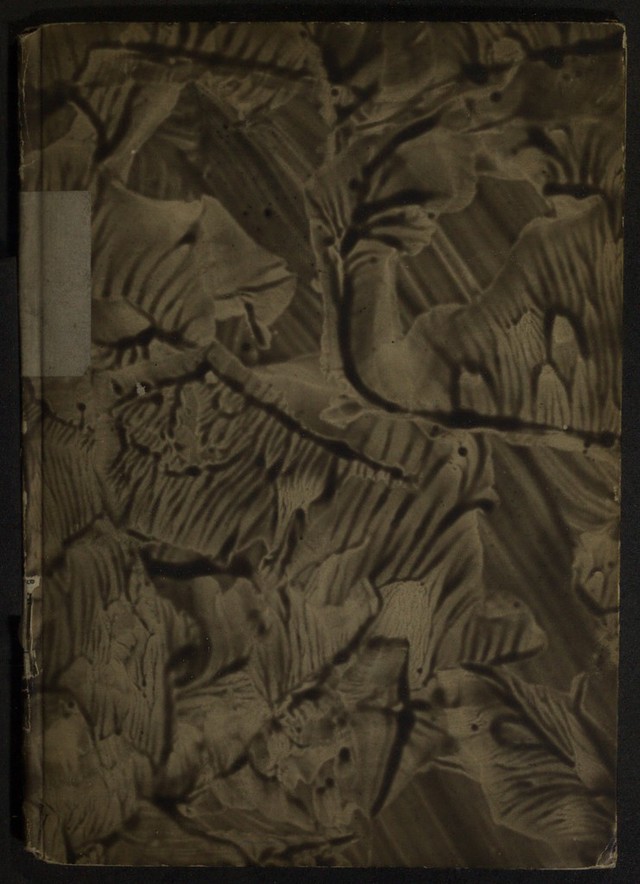 No text description is available for this image