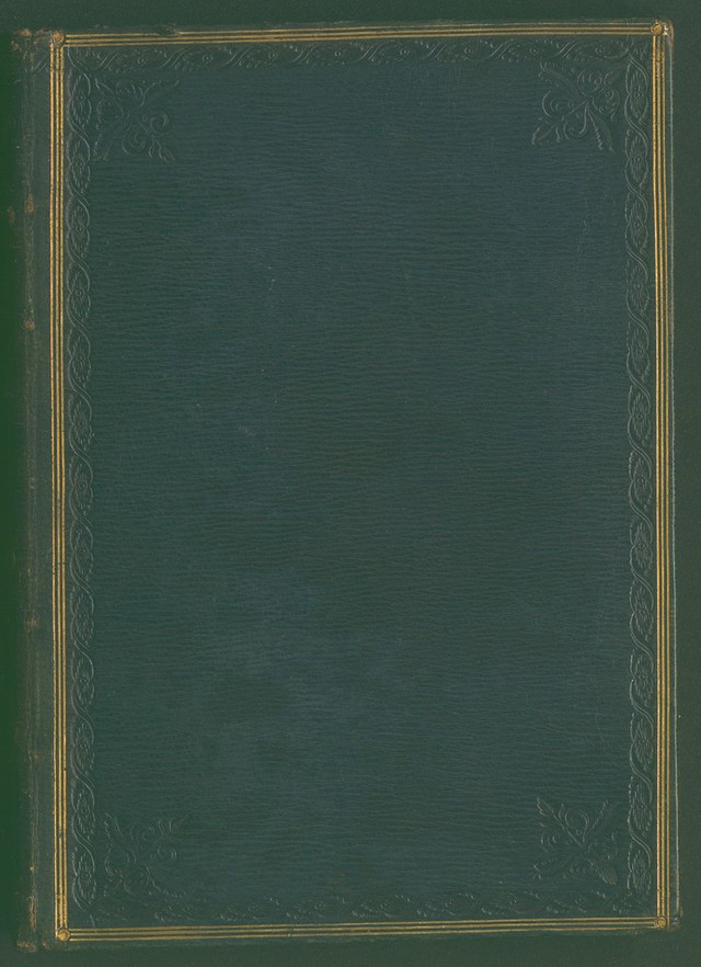 No text description is available for this image