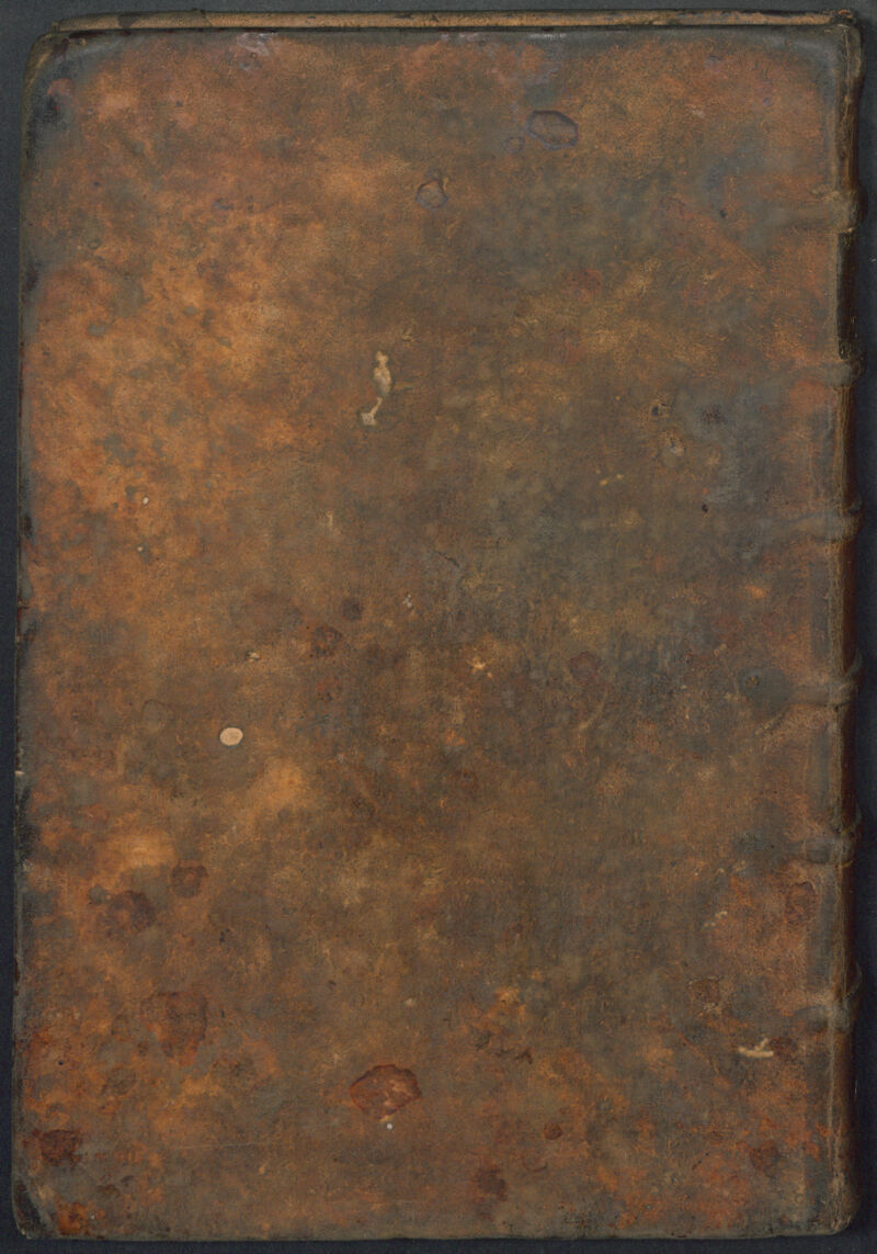 No text description is available for this image