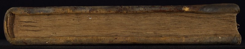 No text description is available for this image