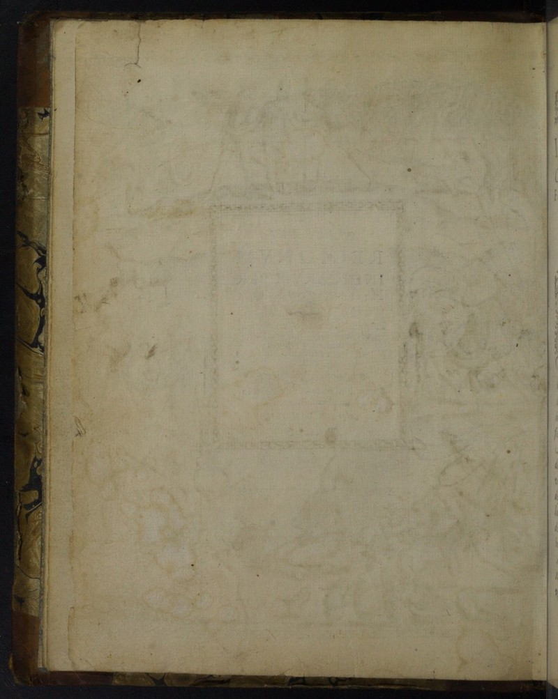 No text description is available for this image