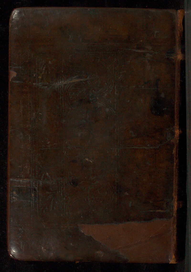 No text description is available for this image