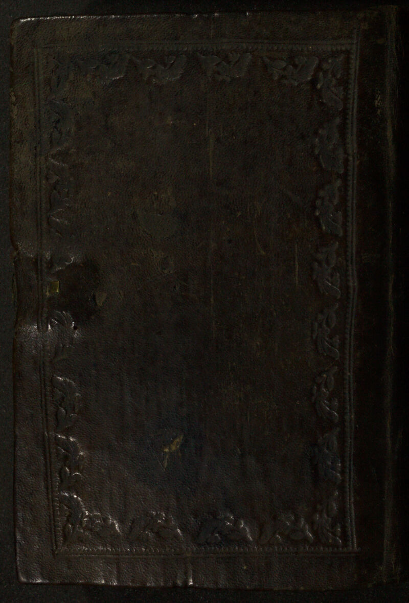 No text description is available for this image