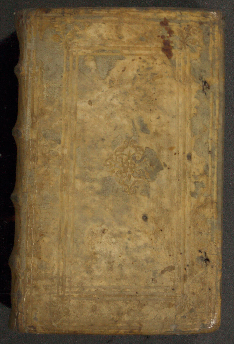 No text description is available for this image