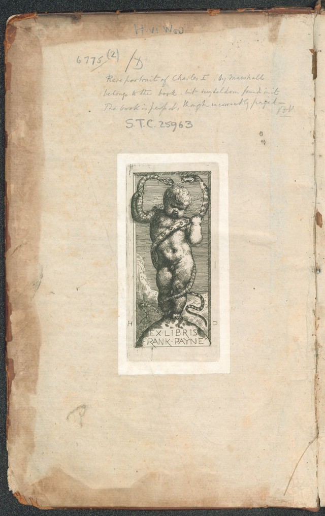 digitised image 2