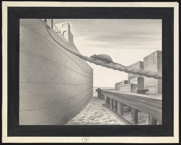 A rat stowing away on a ship, carrying the plague further afield. Drawing by A.L. Tarter, 194-.