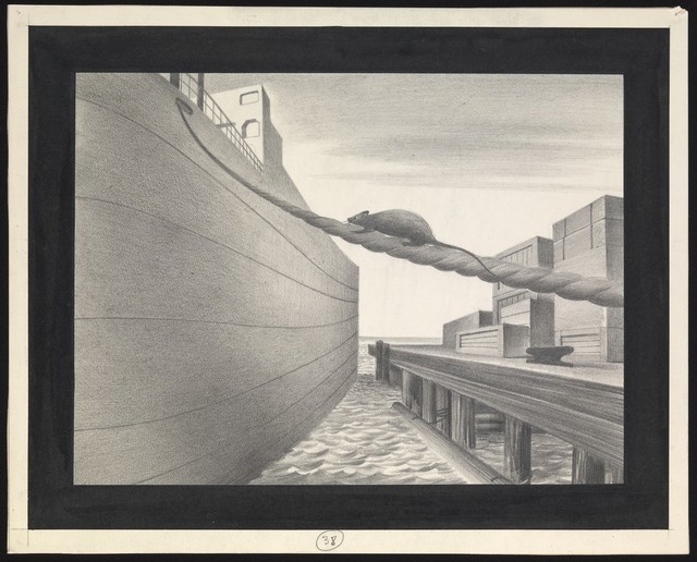 A rat stowing away on a ship, carrying the plague further afield. Drawing by A.L. Tarter, 194-.
