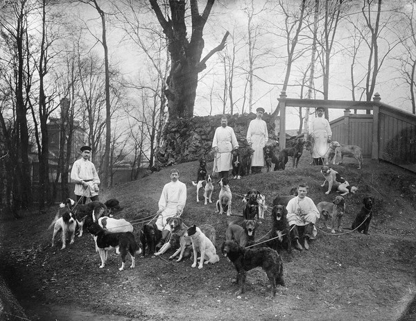 Dogs with their keepers at the Physiology Department, Imperial Institute of Experimental Medicine, St Petersburg. Photograph, 1904.