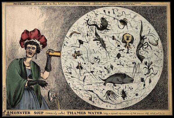 A woman dropping her porcelain tea-cup in horror upon discovering the monstrous contents of a magnified drop of Thames water; revealing the impurity of London drinking water. Coloured etching by W. Heath, 1828.