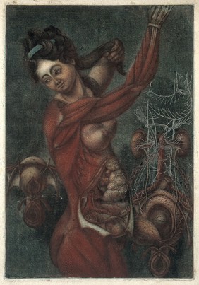 A woman with the muscles of her upper body and her viscera exposed. Colour mezzotint attributed to J.F. Gautier d'Agoty.