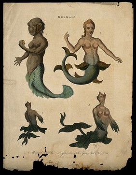 Three mermaids, one of them showing posterior and front view. Coloured engraving, 1817.