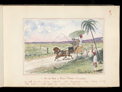 Sketches in the Malay archipelago. Album of watercolours and photographs made and collected by J.E. Taylor.