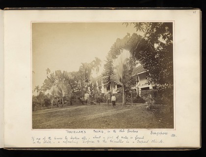 Sketches in the Malay archipelago. Album of watercolours and photographs made and collected by J.E. Taylor.