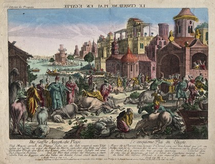 The fifth plague of Egypt, cattle dying. Coloured etching.