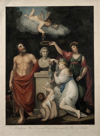 Carolus Linnaeus receives honour from Aesculapius, Flora, Ceres and Cupid. Coloured stipple engraving by J. Caldwall, 1806, after J. Russell and J. Opie.