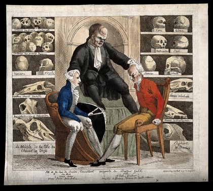 In a room filled with skulls of the famous, the phrenologist Gall examines William Pitt the Younger and Gustavus IV, the King of Sweden, both currently plagued by Napoleon. Coloured etching, 1806.