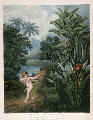 Cupid inspiring plants with Love, in a tropical landscape. Coloured stipple engraving by T.Burke, ca. 1805, after P. Reinagle.