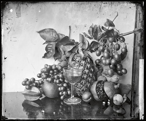 Still life of fruit, Hong Kong. Photograph by John Thomson, 1868/1871.