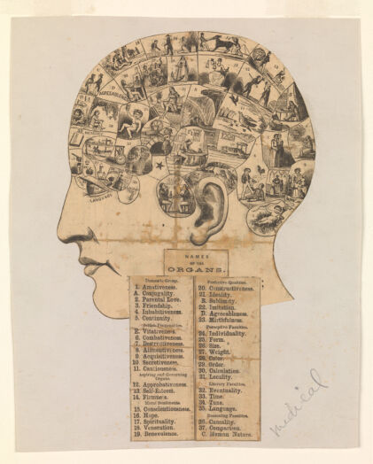 Names of the organs.