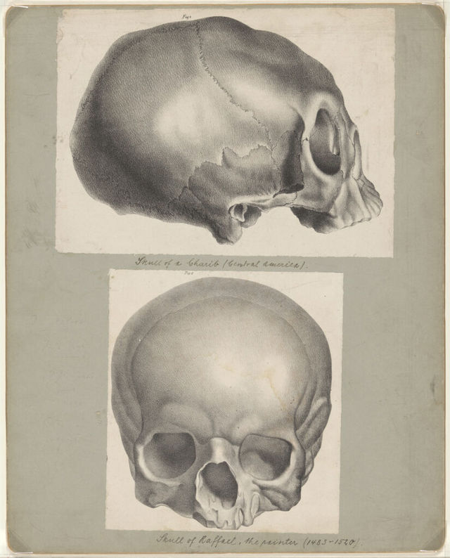 digitised image 1