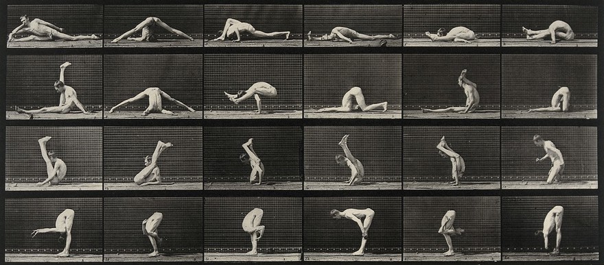 An acrobat in various contortions. Collotype after Eadweard Muybridge, 1887.