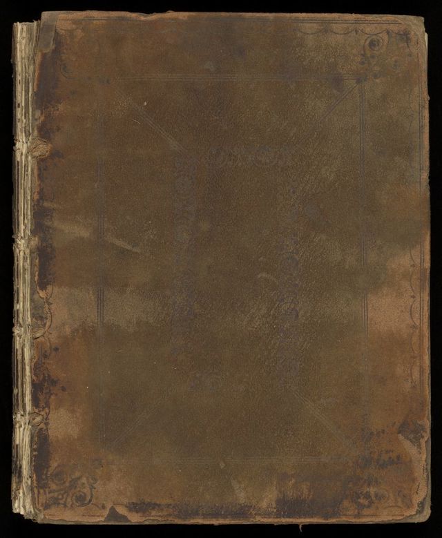 No text description is available for this image