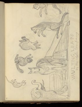 Emily M. Madden's cat Mouton. Drawings by Emily M. Madden, 1856-1859.