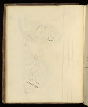Emily M. Madden's cat Mouton. Drawings by Emily M. Madden, 1856-1859.