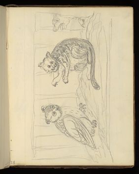Emily M. Madden's cat Mouton. Drawings by Emily M. Madden, 1856-1859.